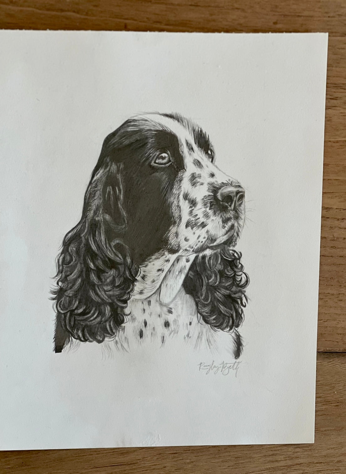 custom portrait (furry friends)