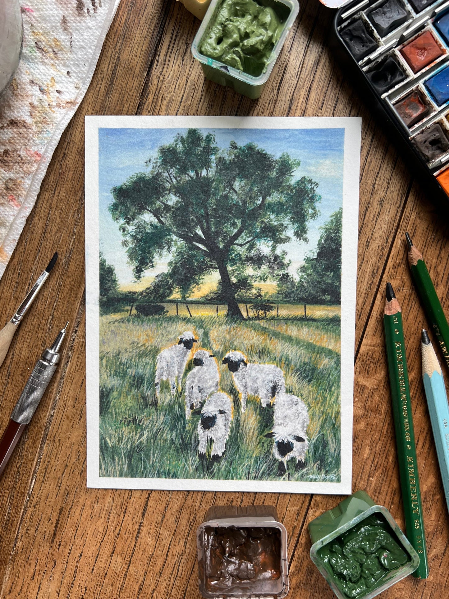 sheep in a field print
