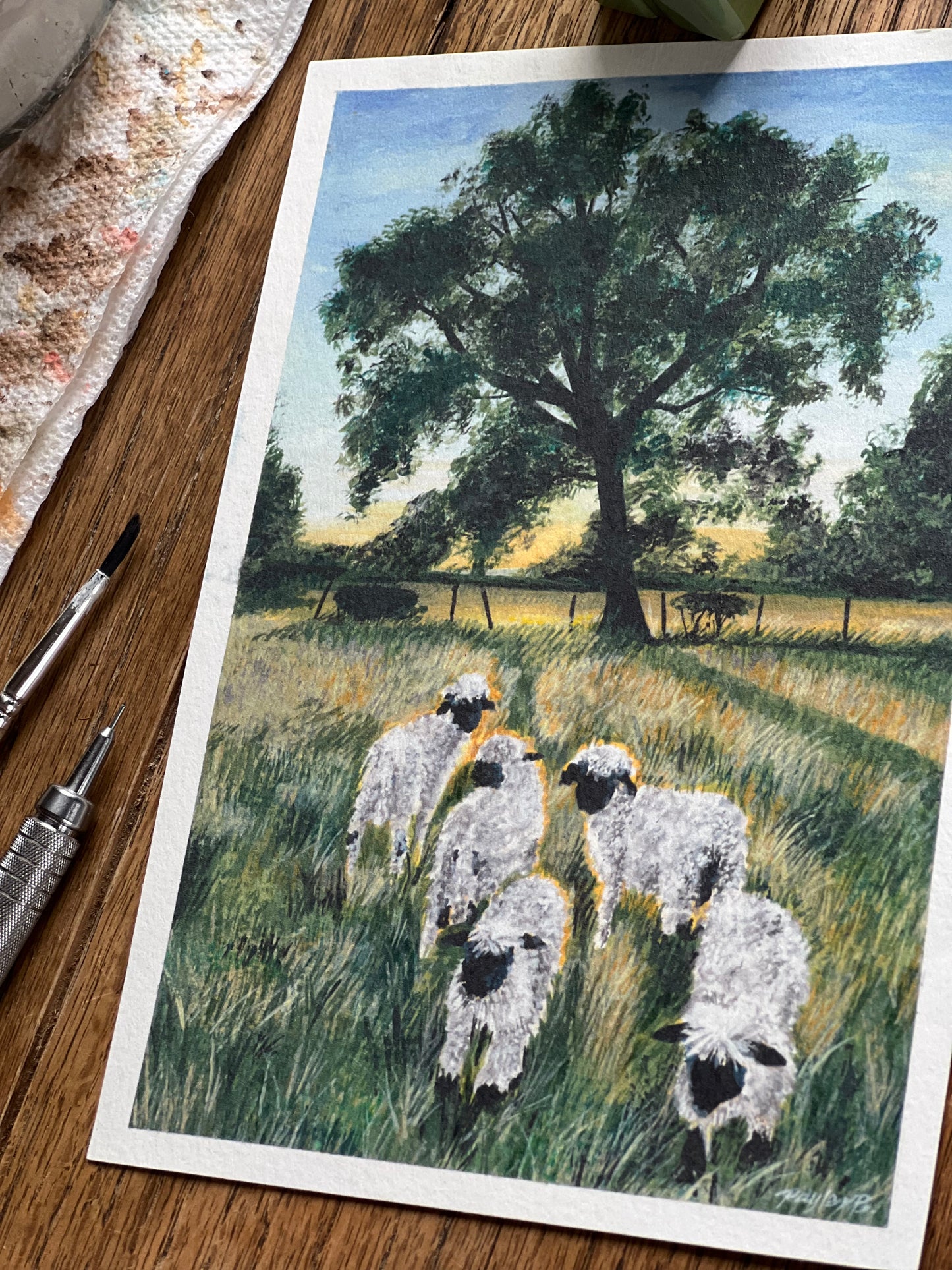 sheep in a field print